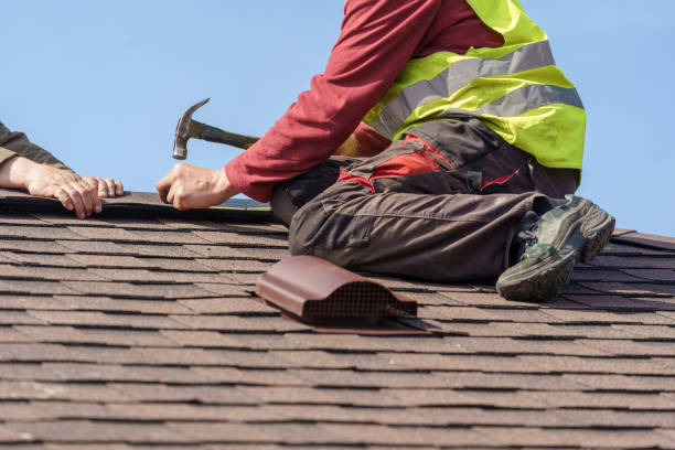 Best Gutter Installation and Roofing  in Pecan Grove, TX